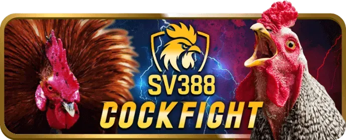 Hướng dẫn chơi game tại eubet code cho người mới